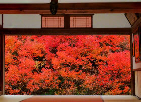 安國禅寺